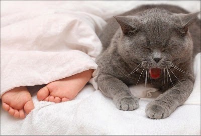 como-evitar-el-olor-de-pies