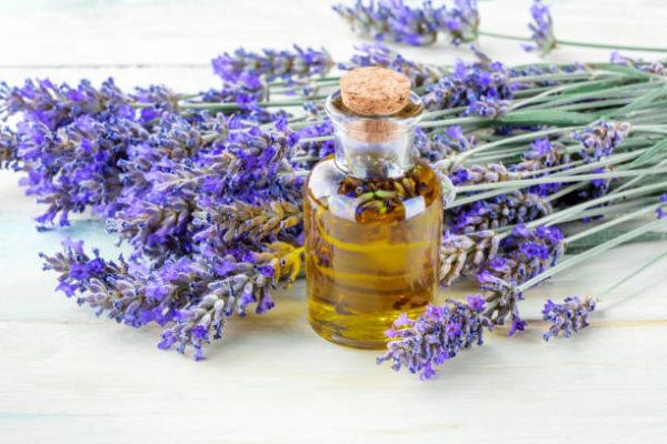 Aceite lavanda funciones nutricion